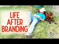 Life After Branding