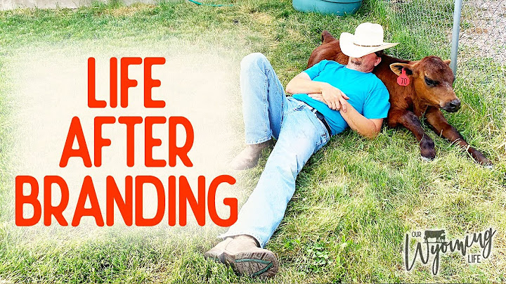 Life After Branding