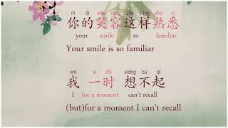 甜蜜蜜 Tián Mì Mì  - The Most Classic of 邓丽君 Dèng Lìjū - Lyrics in Chinese /Pinyin/English Resimi