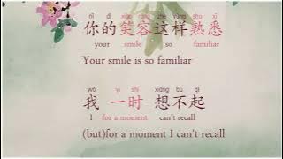 甜蜜蜜 Tián Mì Mì  - The Most Classic of 邓丽君 Dèng Lìjū - Lyrics in Chinese /Pinyin/English