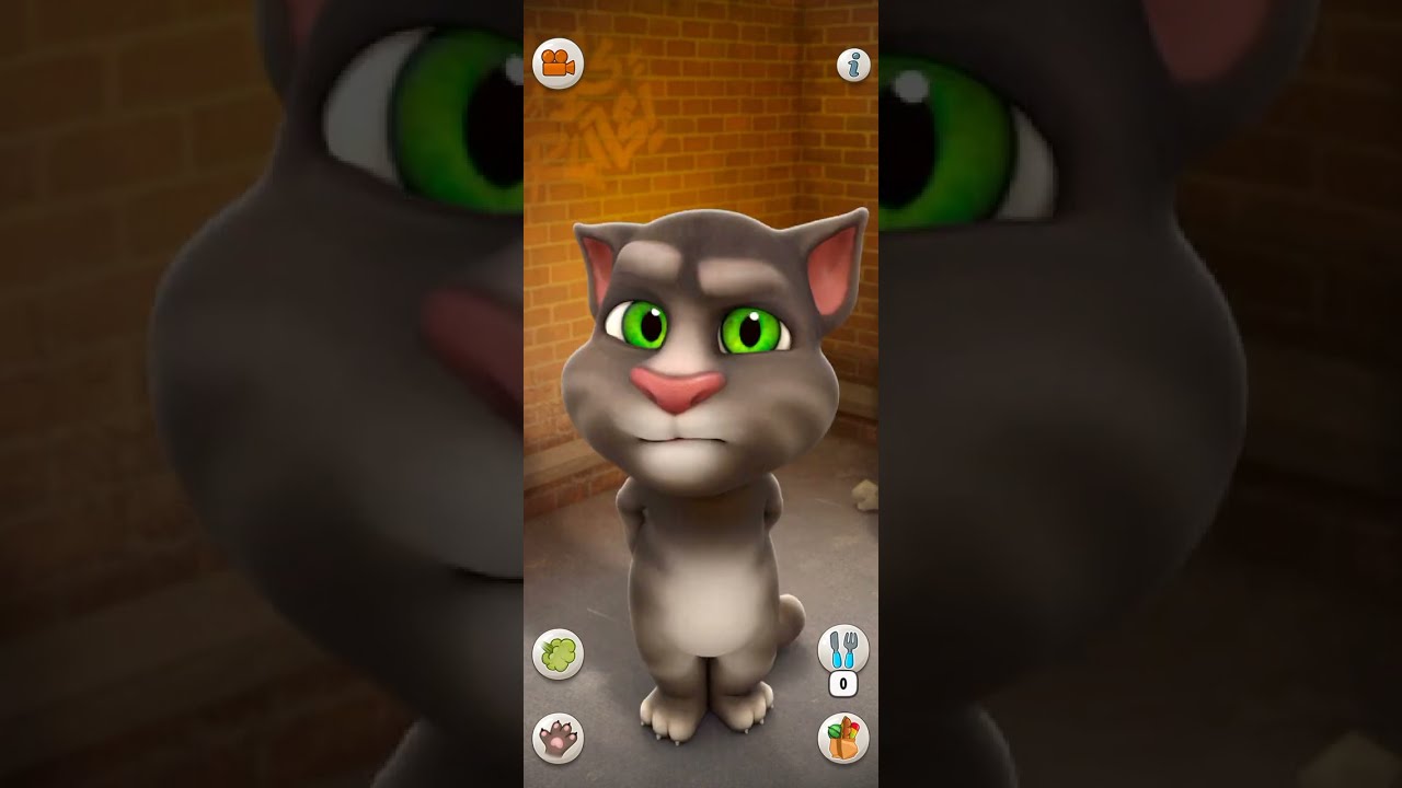 Talking Tom Cat Part 13779 Shorts