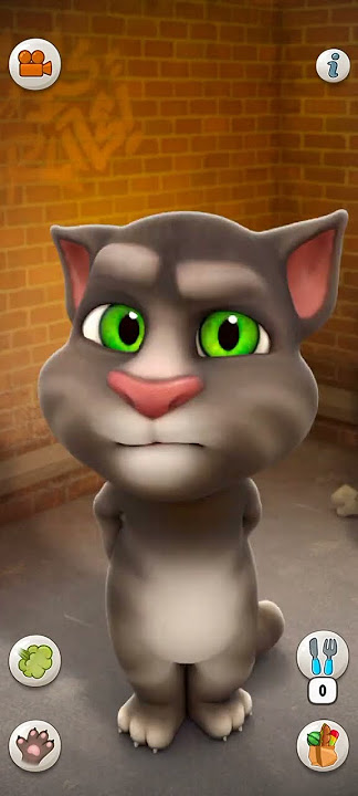 Talking Tom Cat Part 13779 #Shorts