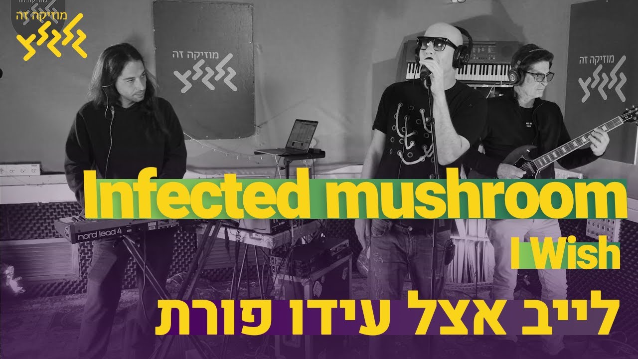Infected mushroom - I Wish (חי באולפן גלגלצ)
