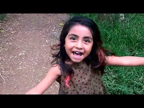 Perdidos en el bosque  ��