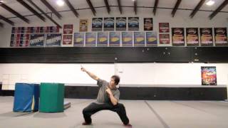 Crazy Stupid Kid Jimmy Team Zoic ANW Submission 2013