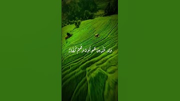 الآية الكريمة *"وليست التوبة للذين يعملون السيئات حتى إذا حضر أحدهم الموت