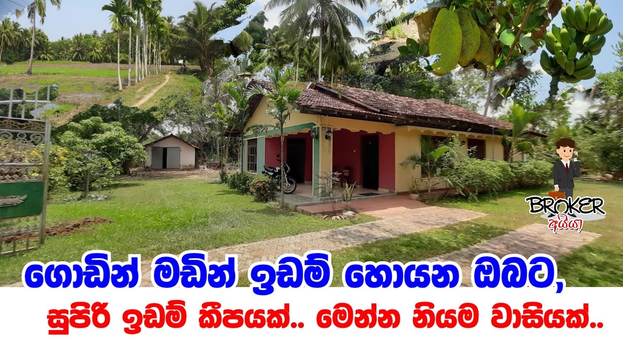 Land And House for sale in srilanka/Paddy For Sale in srilanka/Aduwata