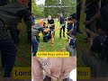 Lomba menegangkan #shortvideo #reaction #lucu #funny #stitch