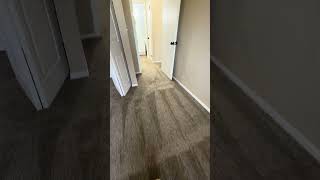 1612 N. Mason Street #6