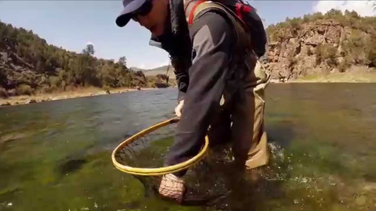 Green River Fly Fishing May 2014 YouTube