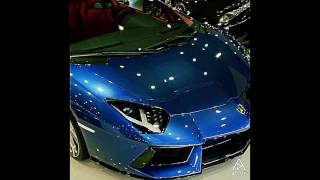 The Raging Bulls(Lamborghini)