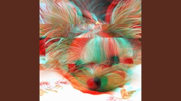 Breathtaking Backdrops for Unwinding Doggo