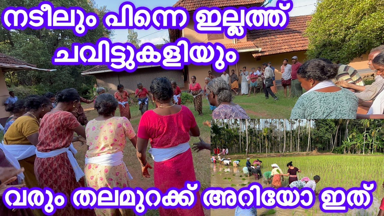 Как красиво сажать и петь в поле | Чавиттукалиюм Надилум | Деревня Равимангалам | Ностальгия |