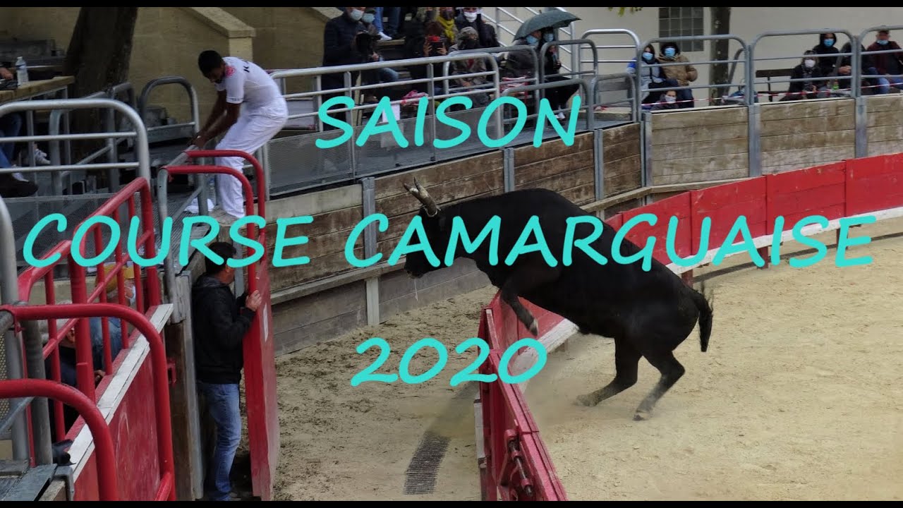 COURSE CAMARGUAISE SAISON 2020