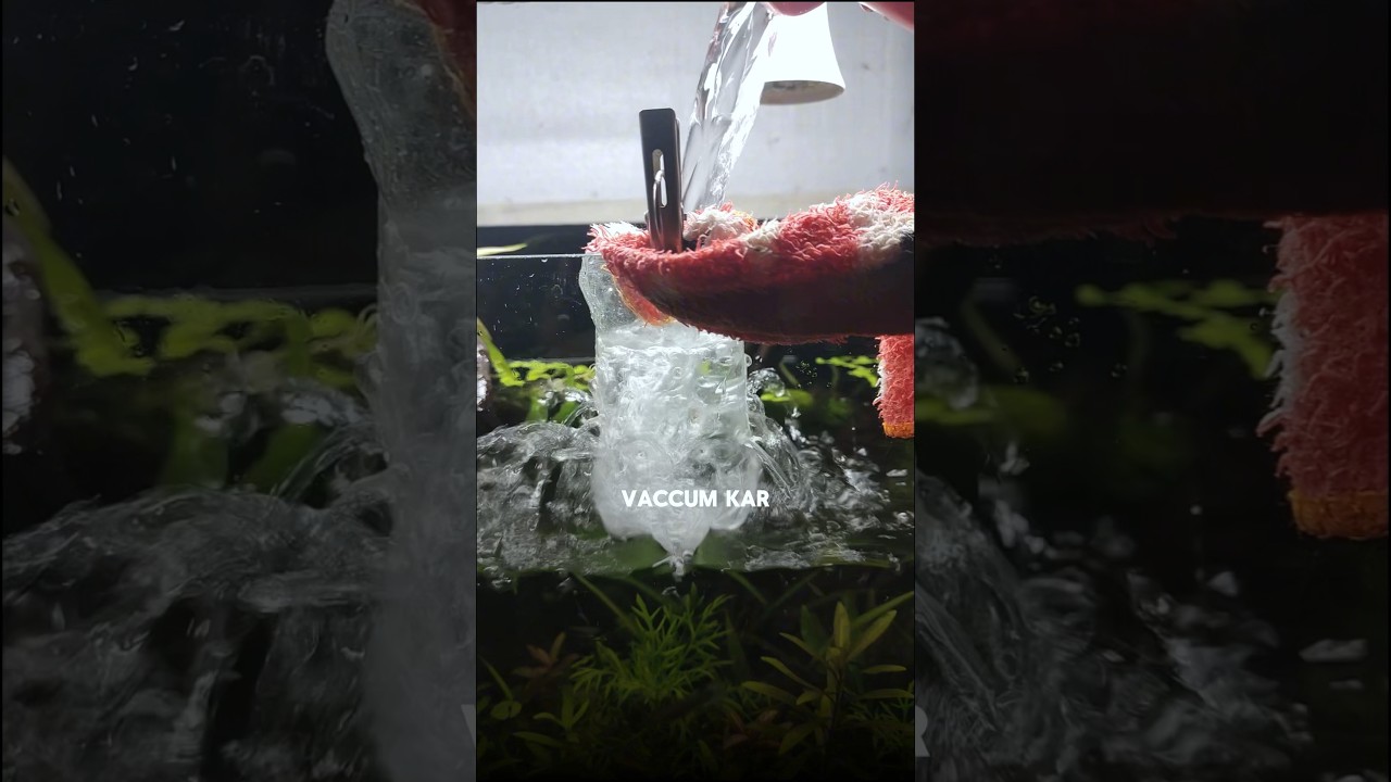 How to care✅your🐟aquarium || planted tank || lush plant growth✅|| 