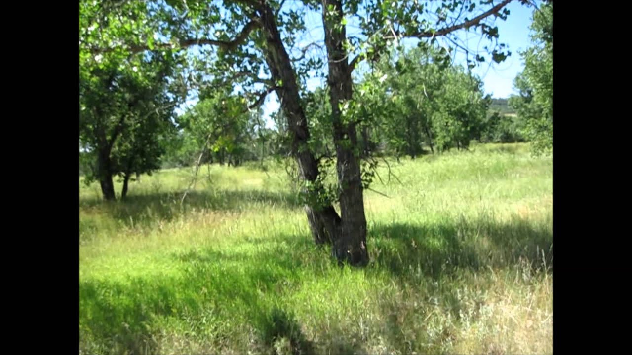 Berlin Goes Horseback Riding Week 2 04Aug14 YouTube