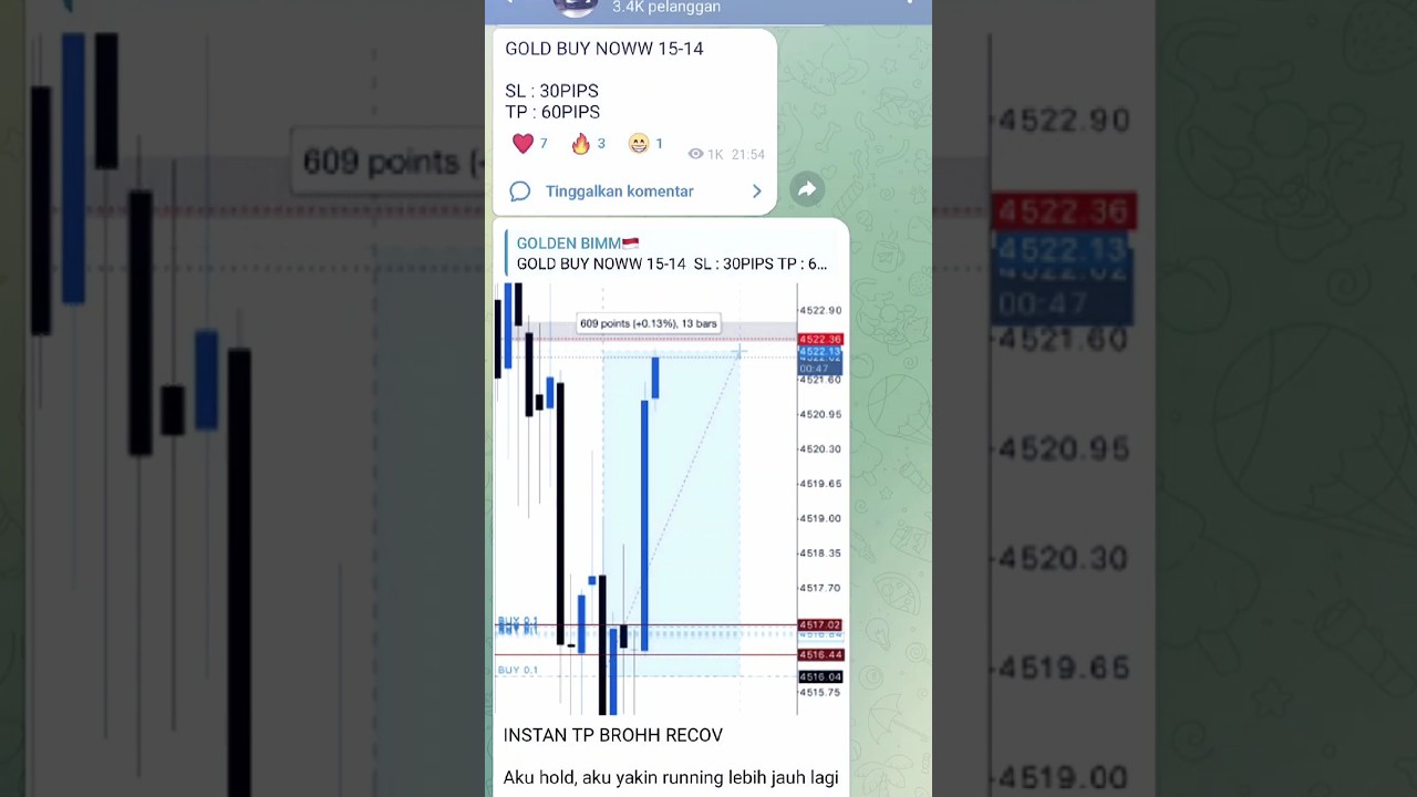 join grup tele, link di bio 