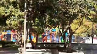 China - Daddy Yankee, Anuel, Ozuna, J Blavin