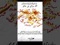 دنیا کی زندگی دھوکہ ہے