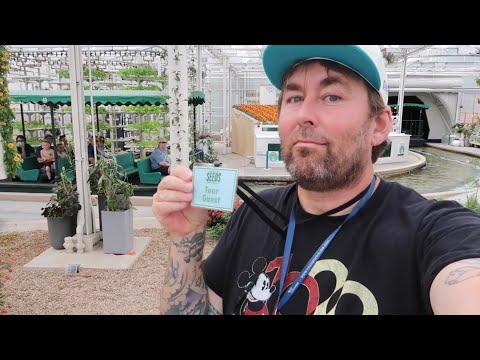 Amazing Day At EPCOT Backstage at The Land - Behind The Seeds Tour / Friendship Boats & Ratatouille