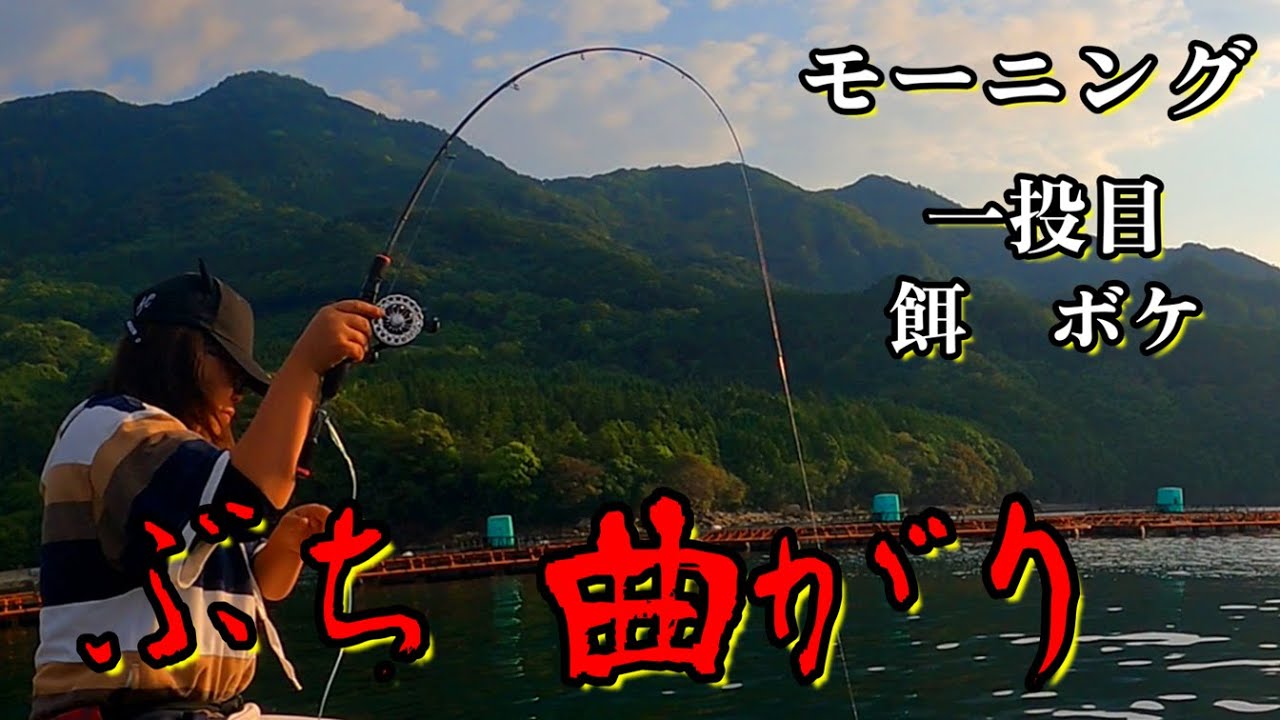 【かかり釣り】癌と戦う猫の大好きな魚を求めて