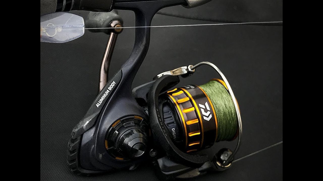 My new Daiwa BG 8000 reel and Beach fishing Rig - How to use a