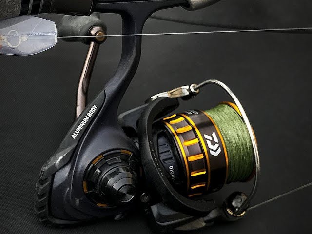 My new Daiwa BG 8000 reel and Beach fishing Rig - How to use a
