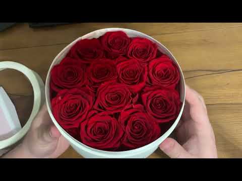 Are the Everfield Preserved Roses the Perfect Gift?