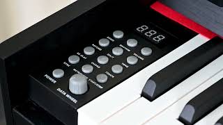 Beisite T-181 Кәсіби 88-Пернелі Сандық Пианино Профессиональное 88-Клавишное Цифровое Пианино