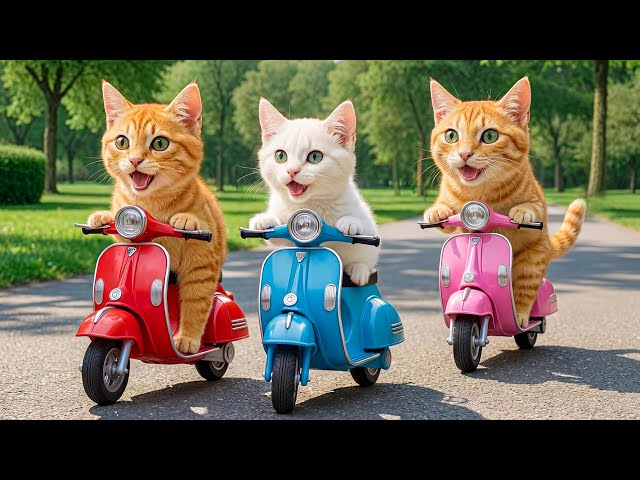 CAT★ Zoey's Cat Motorcycle 71479 | LEGO® DREAMZzz™ | Buy online at the