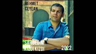 Mehmet Ceylan Sar Dedi̇m Kizdi Kizdi