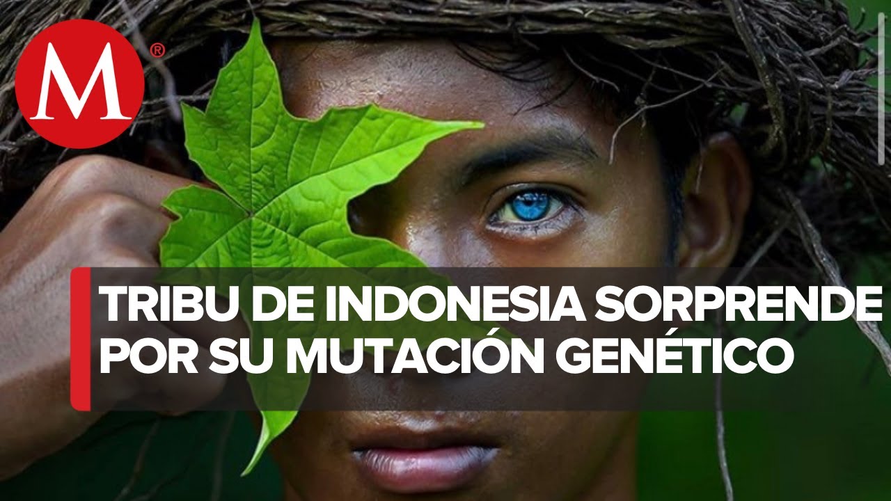 Tribu impacta al mundo por sus ojos azules tras un problema genético
