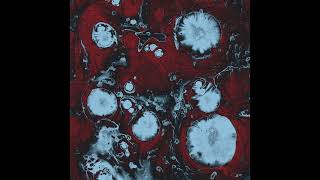 The Black Queen - Porcelain Veins (Solipsis Remaster)