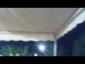 سلامية أنوار الجزيرة 