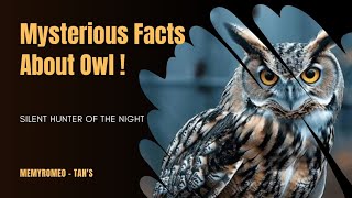 Interesting Facts About Owl For Kids Owl Facts For Kids Owl Facts Owls For Kids