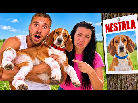 BICA JE OZLJEĐENA A ĐELJANA NESTALA