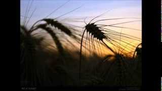 RAMONA -  My special cover   - Original by THE BLUE DIAMONDS