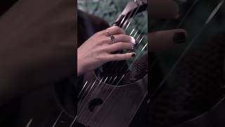 Wardruna - Hibjørnen Kravik Lyre Part #kraviklyre #norsemusic #how to play #vikingharp #hearpe