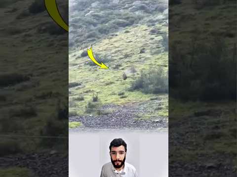 سقوط صخرة عملاقة من الجبل ولطف الله أنقذ الجميع 