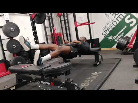 Loaded Single Leg Reverse Plank