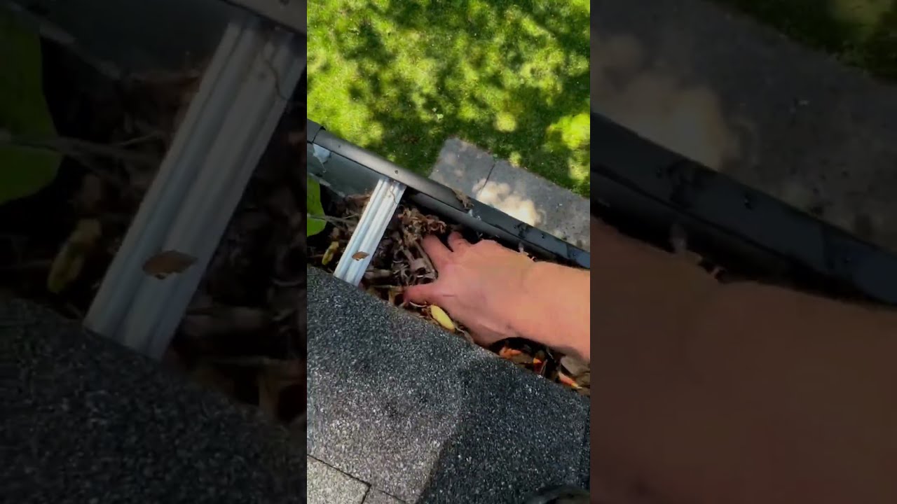 Professional Gutter Cleaning That Prevents Flooding 💧🏠