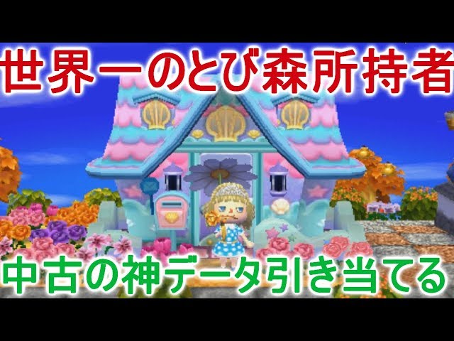 とび森】世界一のとび森所持者が中古の神データを引き当てたので