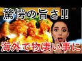 日本のカツ丼の人気が海外で物凄い事に!!「日本食の最高峰だ!!」【感動心をゆさぶるチャンネル】