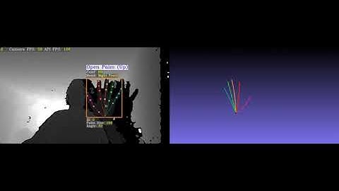 Static Gestures with High Resolution Depth Camera