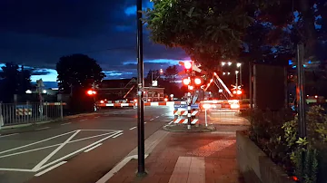 Dit is de gevaarlijkste spoorwegovergang van Nederland