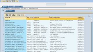 SAP HR Payroll reports and interfaces without ABAP programming or Microsoft Excel