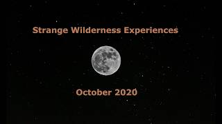 Strange National Park Wilderness Experiences - October 2020