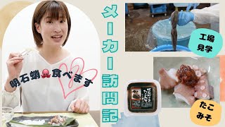 【明石だこ】工場見学行ってみた！【メーカー訪問記】