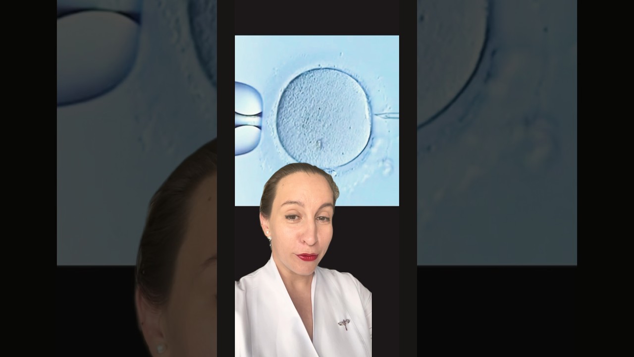 Вот так делают ИКСИ   