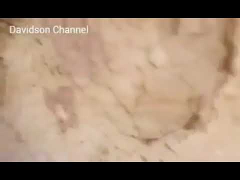 قصة النبي داود مع ملك الموت عزرائيل لايفوتك حوار رائع 